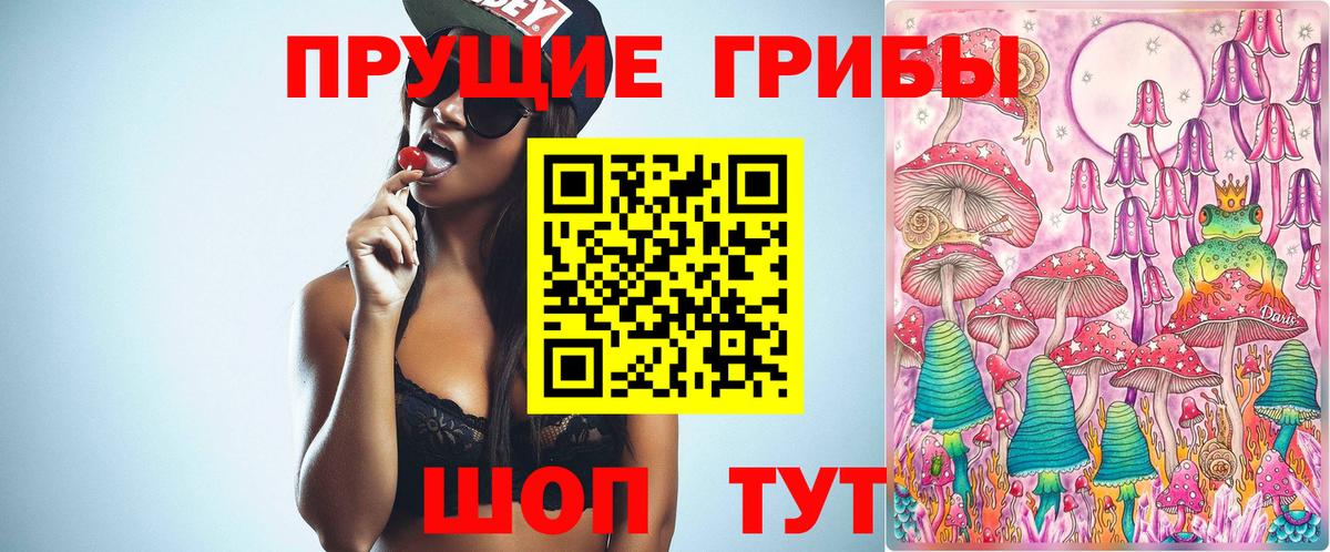 Галлюциногенные грибы прущие грибы Кизилюрт