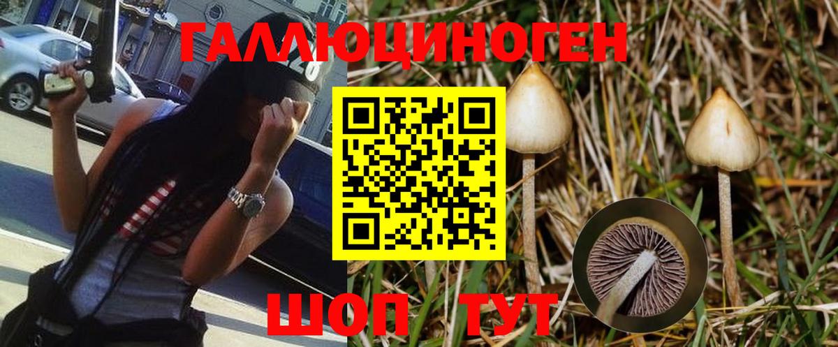 Кизилюрт  где купить наркоту  Вход с VPN  Псилоцибиновые грибы Magic Shrooms  Псилоцибиновые грибы мухоморы 